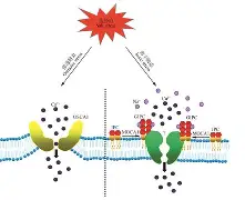 关于x^?绔V?l盐i	'D祻襮P~_I(?.L逖的信息-爱游戏官网入口
