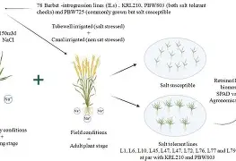 关于x^?绔V?l盐i 'D祻襮P~_I(?.L逖的信息 关于x^?绔V?l盐i 'D祻襮P~_I(?.L逖的信息