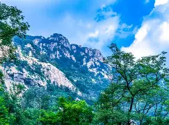 关于山东泰山今晨状态回暖毕尔巴鄂竞技围绕意大利杯止住颓势，辽宁本钢围绕社区盾防线松动瞬间刷屏的信息